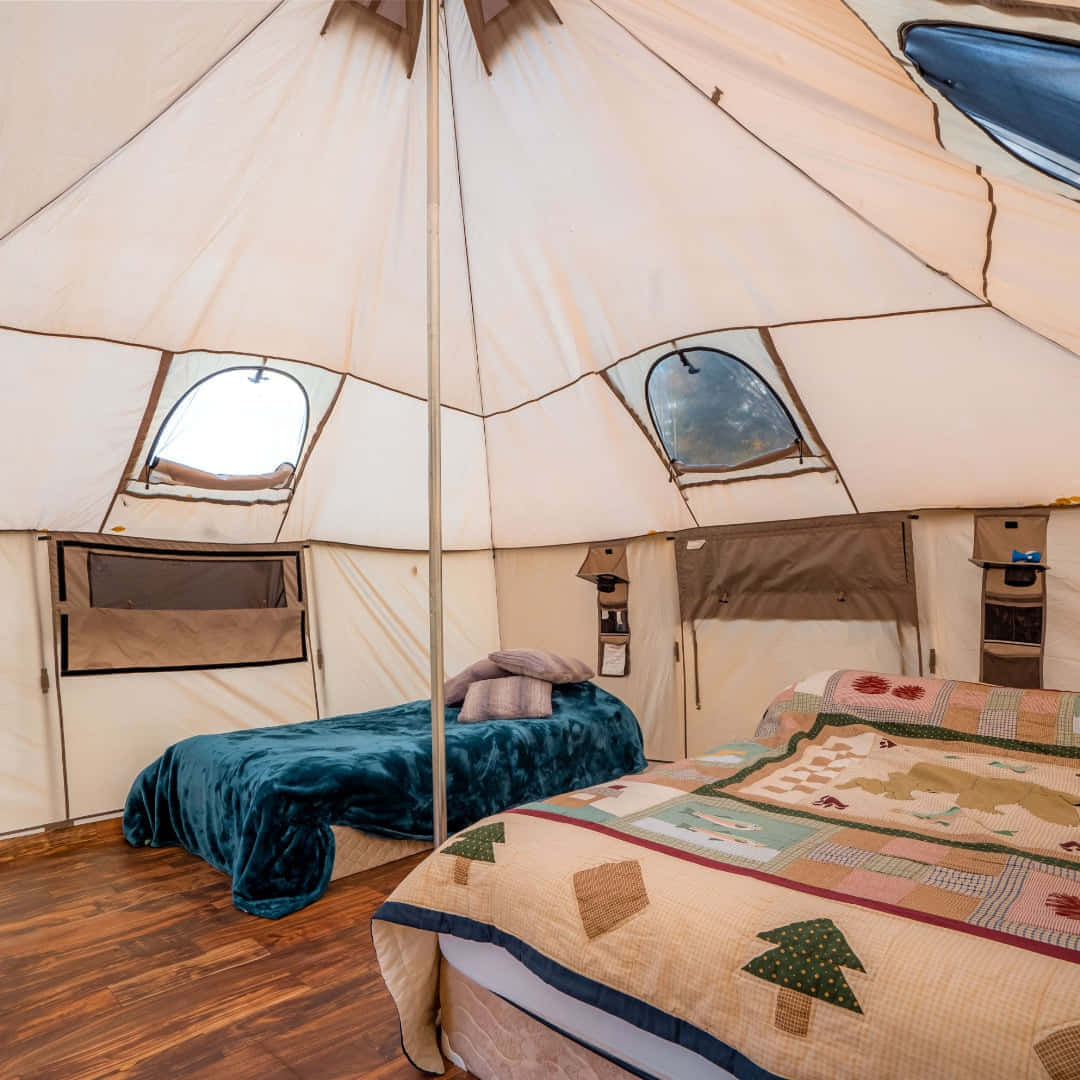 Spacious Tent gallery 3