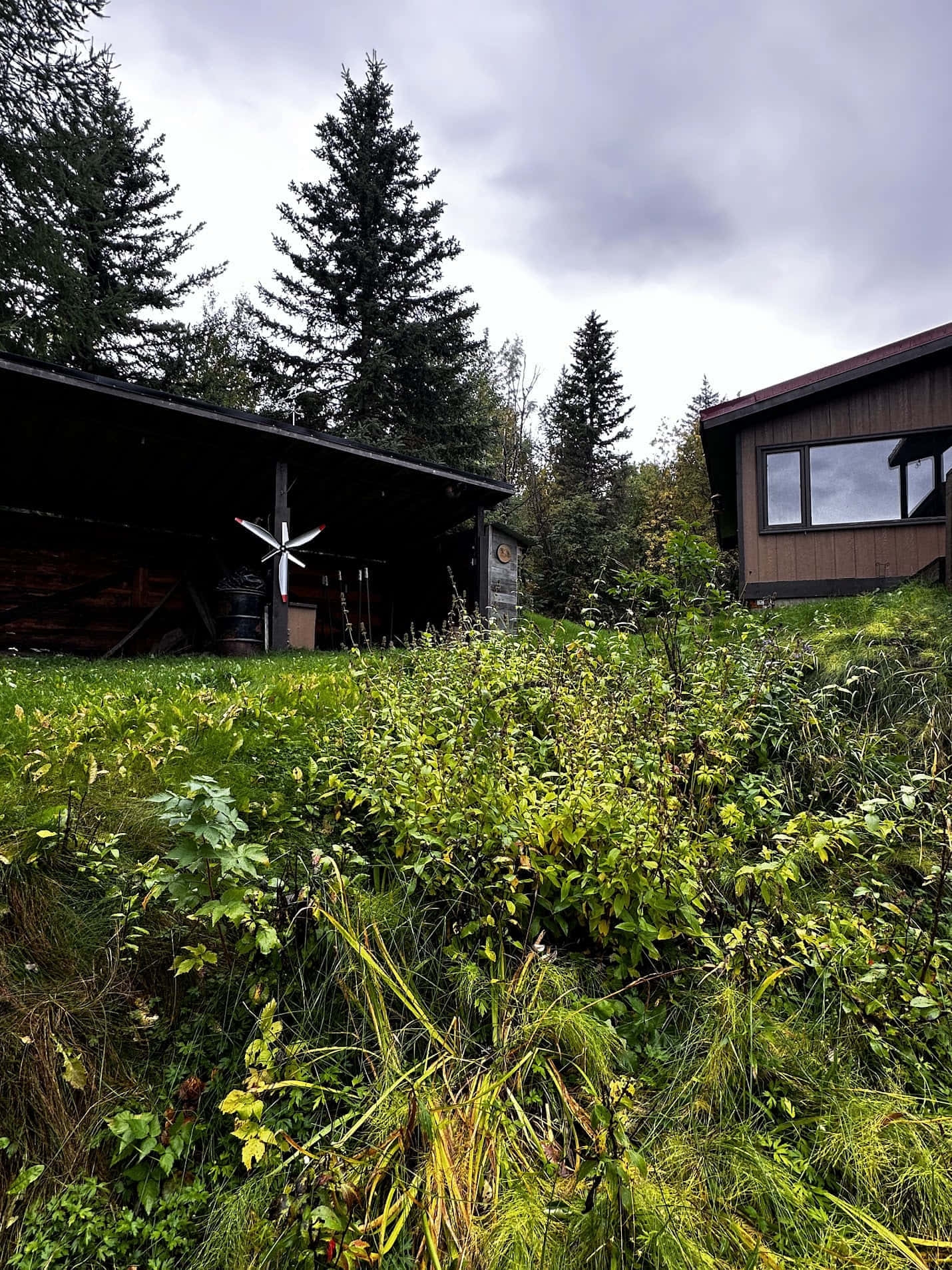 Moose On The Loose Chalet gallery 3