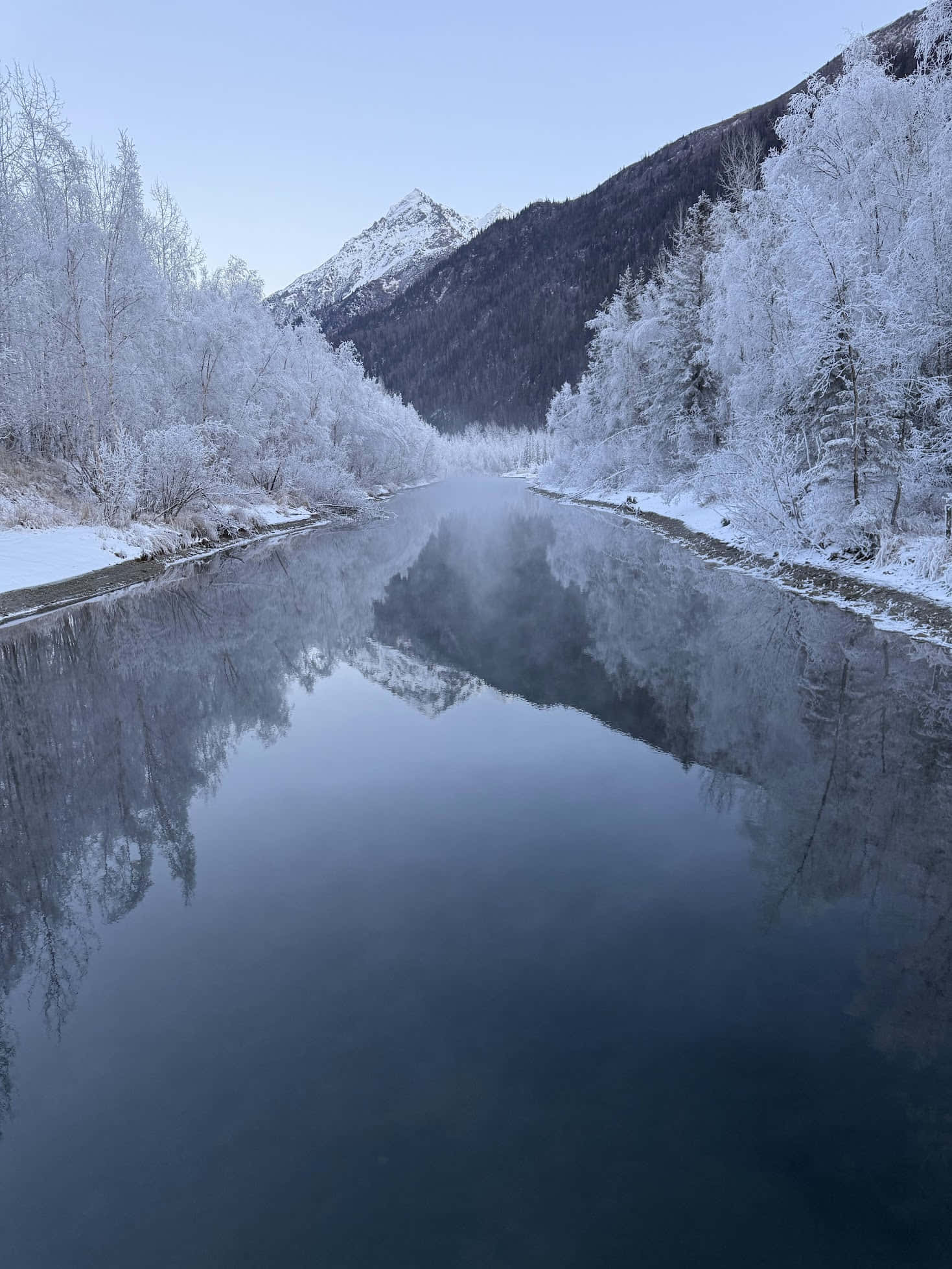 Moose On The Loose Chalet gallery 49