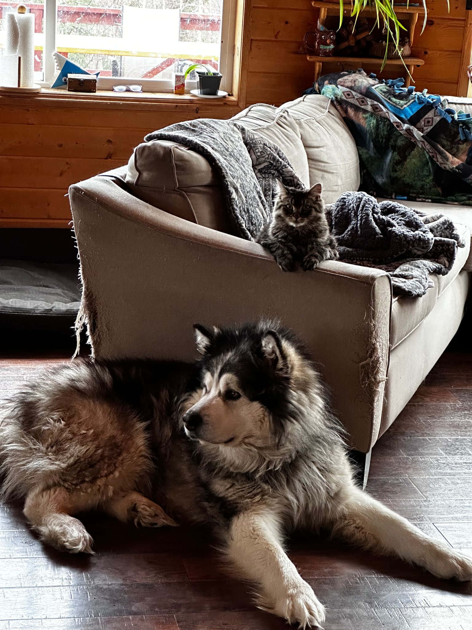 Magic Bus (1-4 people) info 2