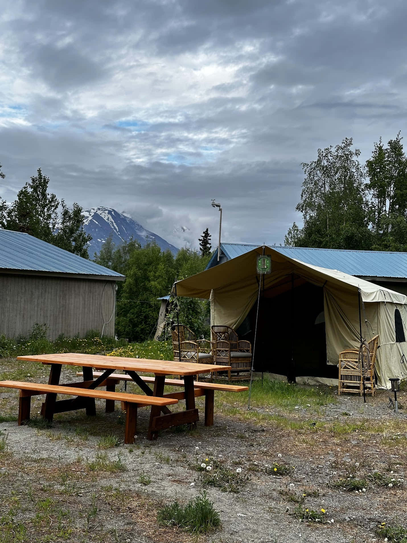 Magic Bus (1-4 people) gallery 29