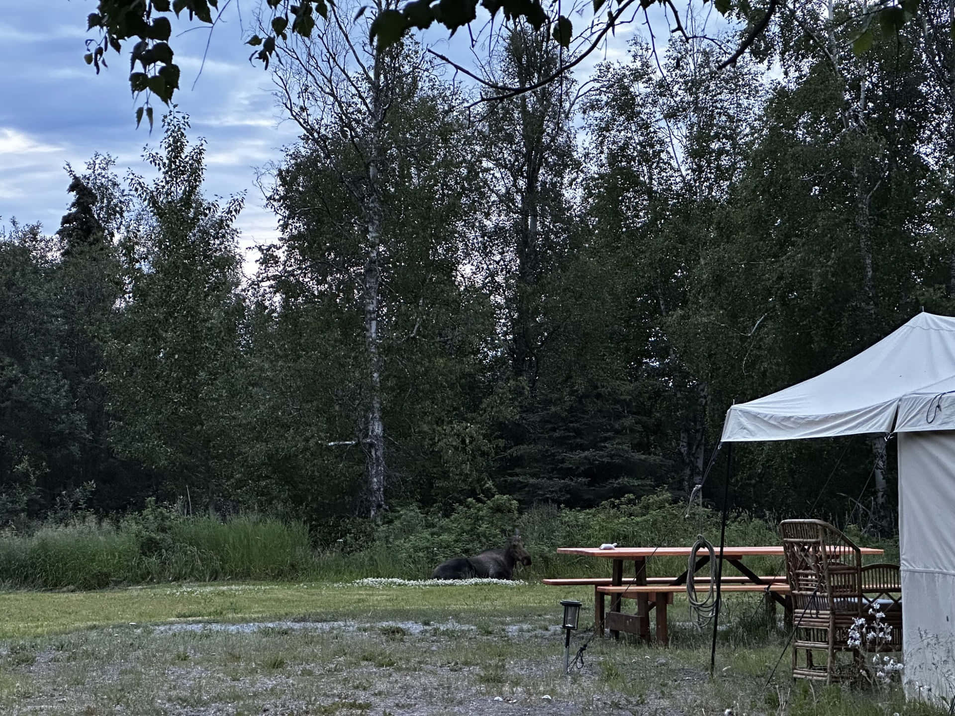 Magic Bus (1-4 people) gallery 32