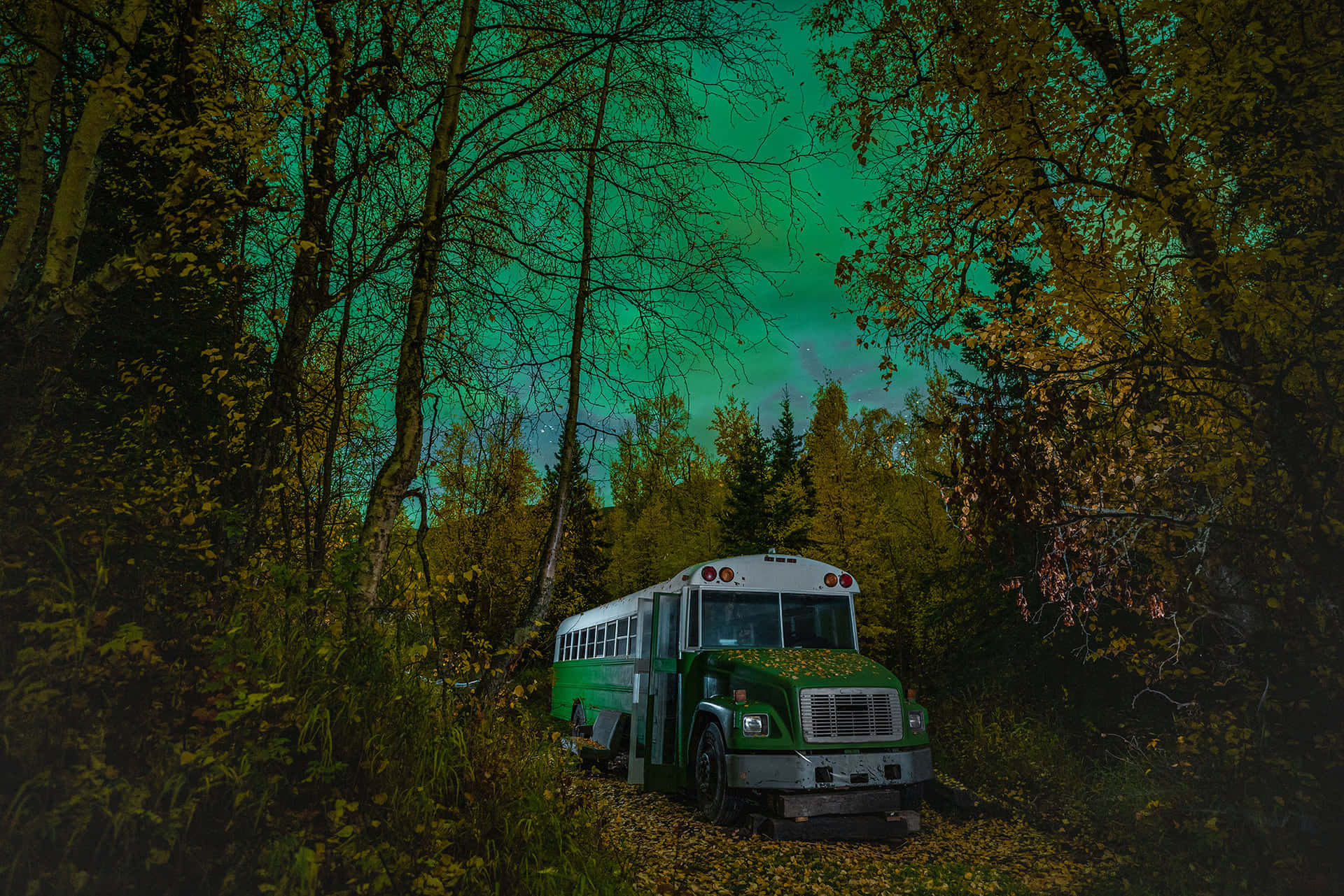 Magic Bus (1-4 people) gallery 5