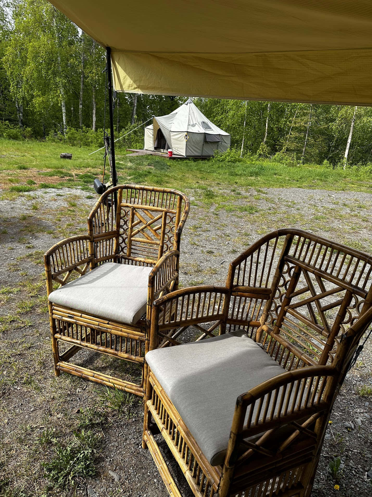 Magic Bus (1-4 people) gallery 31