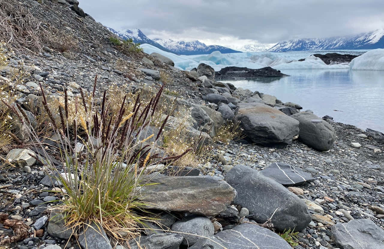 נסיעת UTV לאגם הקרחונים (באגי 6 מושבים) - 3