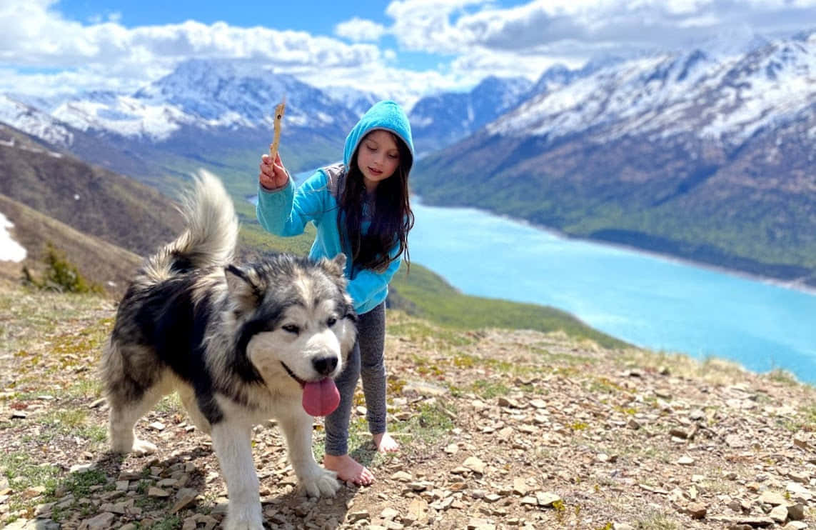 טיול יום אחד