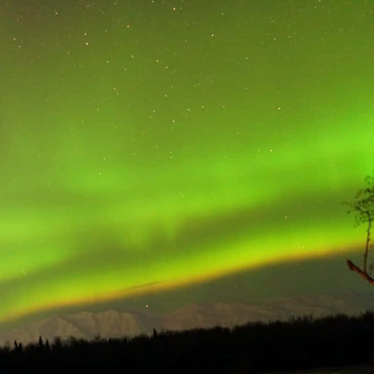 גלריית תמונות - 6