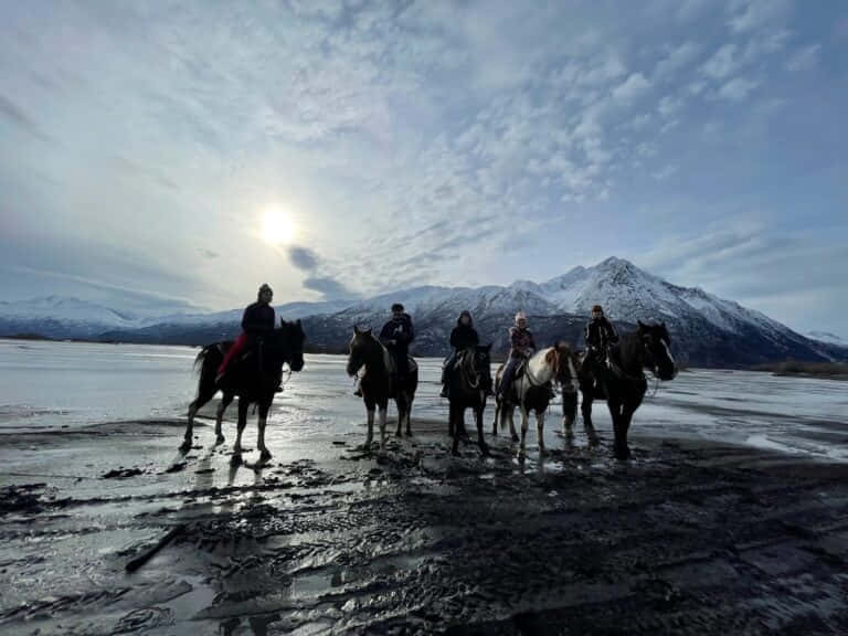 גלריית תמונות - 8