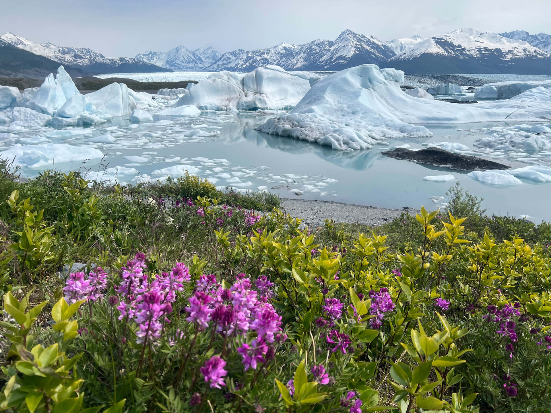 Alaska summer river landscape — Alaskan Adventure Haven
