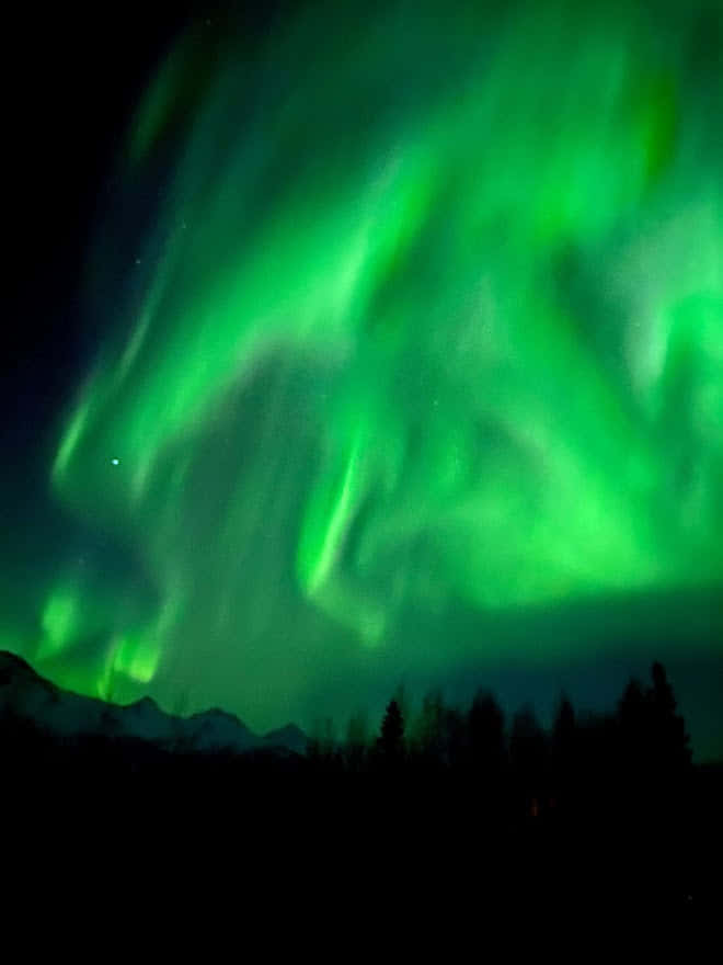 Новый год на Аляске 2027 - 7