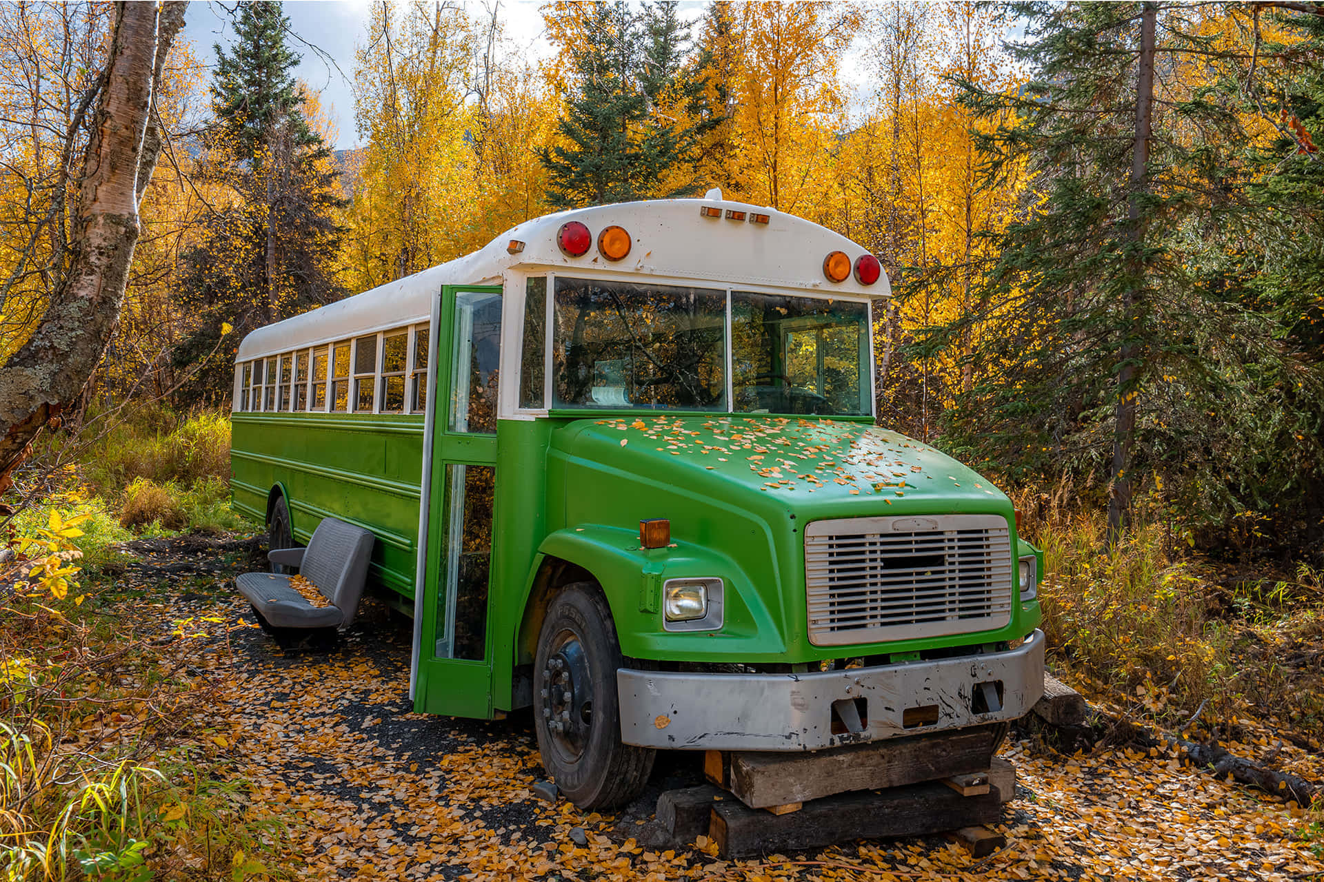 Золотая осень 2026 - 4