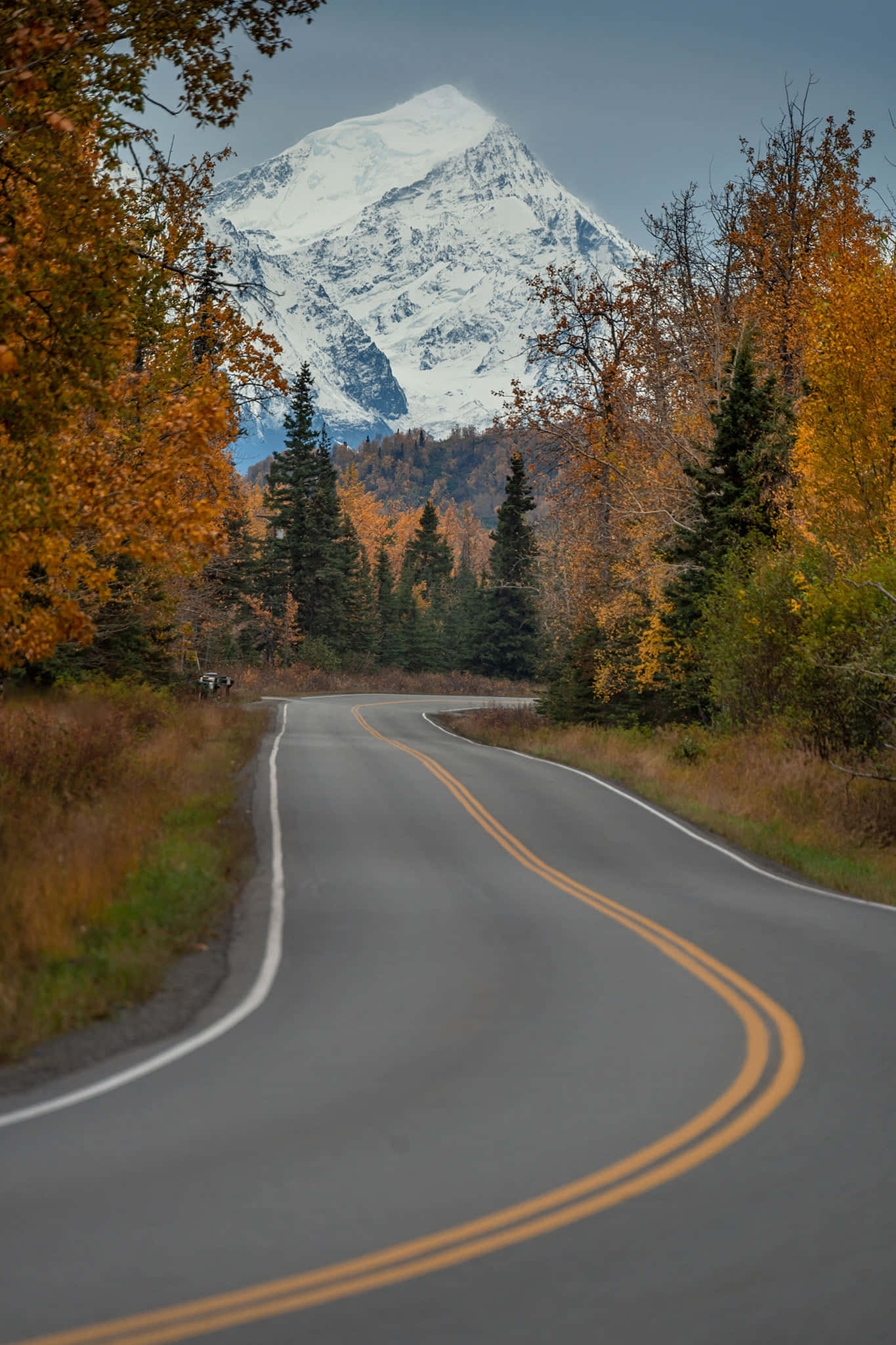 Золотая осень 2026 - 5